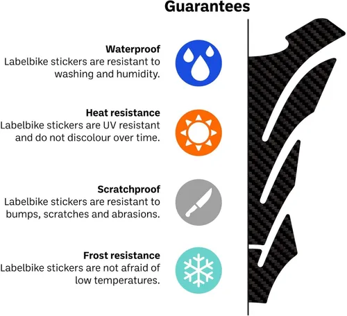 Vista 6 de labelbike - 2 pegatinas 3D de resina, protección lateral para tanque de motocicleta compatible con Ducati Streetfighter V4 2023