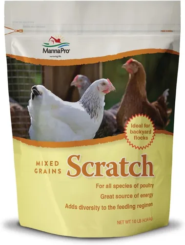 Manna Pro Ultimate Chicken Scratch Feed, Alimento de Grano Nutritivo Rico en Nutrientes para Pollos y Aves de Corral, Mezcla Natural Multigrano para