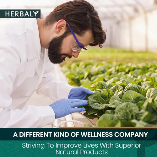 Vista 8 de Herbaly Pressure Balance Tea - 9 superhierbas - Presión, colesterol, salud cardiovascular, sistema circulatorio, natural, orgánico, sin OMG, sin