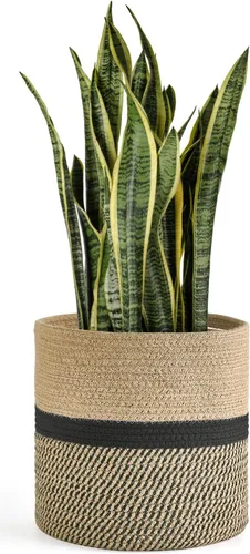 Vista 9 de Dahey - Cesta tejida pequeña de cuerda de algodón para plantas, cesta enrollada para macetas de hasta 7 pulgadas, cesta decorativa para cubrir