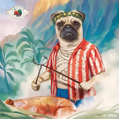 Vista 2 de Fromm Four-Star Nutritionals Comida para perros de cerdo y guisantes, comida seca prémium para perros, receta de cerdo, 26 libras