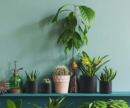 Vista 7 de D'vine Dev Paquete de 20 macetas de plástico (4 juegos de 2 pulgadas, 2.5 pulgadas, 3 pulgadas, 3.5 pulgadas, 4 pulgadas) macetas pequeñas