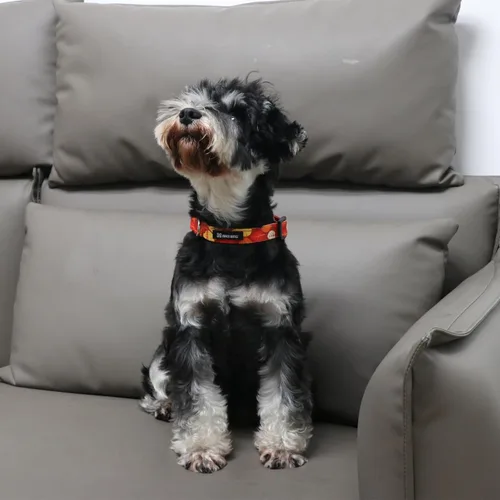 Vista 33 de Maca Bates - Collar de primavera para perro con diseño de flores, para niñas y niños, hembra, macho, para Perros, Chihuahua, Pitbull, regalo