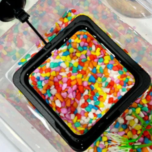 Vista 5 de Juego de 2 anillos de alimentación para peces, alimentador de alimentos para peces + tira de termómetro, decoración de tanques, accesorios de tanque