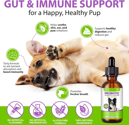 Vista 6 de Probióticos para perros, probióticos líquidos para perros, enzimas prebióticas y digestivas, suplemento de probióticos para perros que ayudan a