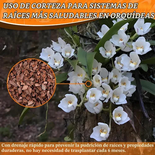 Vista 4 de AVALUTION Corteza para macetas de orquídeas: corteza de orquídea orgánica de 3 cuartos para plantas, todos los chips de madera de corteza de pino