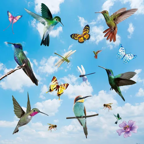 Vista 5 de 32 piezas de calcomanías extra grandes de colibrí y mariposa para ventanas, calcomanías anticolisión para decoración de ventanas, calcomanías