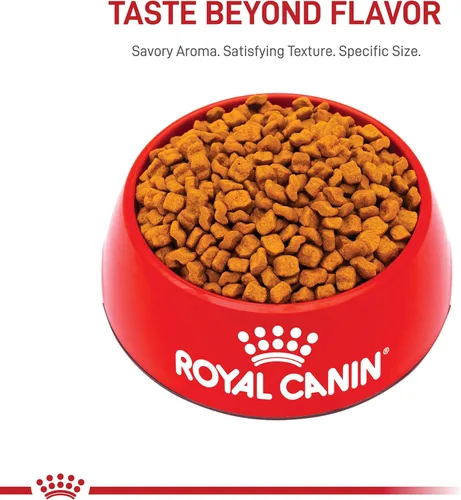 Vista 9 de Royal Canin Boxer Puppy Breed - Alimento seco específico para perros, bolsa de 30 libras
