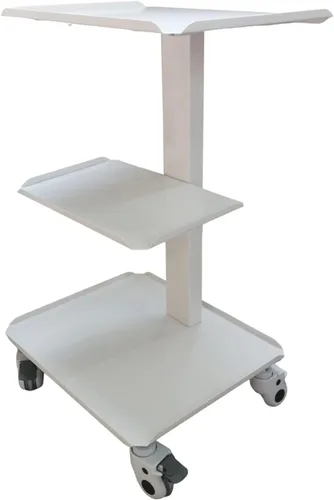 TECHTONGDA Carrito de belleza móvil para salón, carrito rodante de 3 niveles, carrito de esteticista con ruedas, carrito de rodillo de salón,