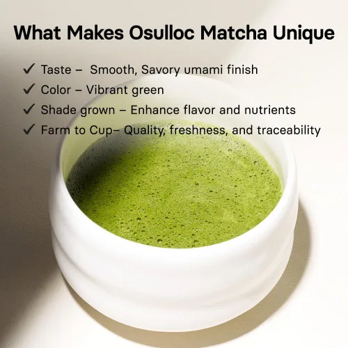 Vista 2 de OSULLOC Polvo matcha premium, té puro orgánico premium de Jeju, 1.41 onzas, 1.41 oz