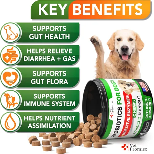 Vista 2 de Probióticos para perros – Probióticos para perros y enzimas digestivas para la salud intestinal, picazón en la piel, alergias, inmunidad, equilibrio