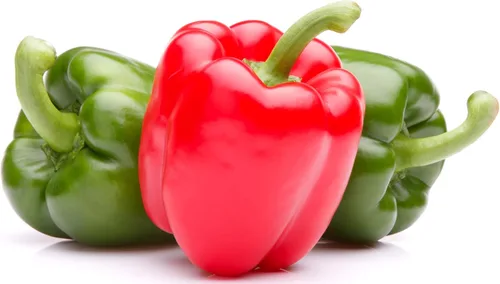Semillas de pimiento morrón para plantar – California Wonder – Semillas de pimiento reliquia no transgénico para plantar – 100 semillas – Pimiento