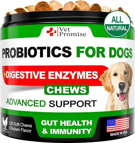 Probióticos para perros – Probióticos para perros y enzimas digestivas para la salud intestinal, picazón en la piel, alergias, inmunidad, equilibrio