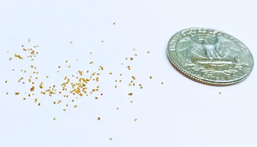 Vista 4 de Lithops - Kit de semillas de 25 semillas con plántulas vivas y germinación (paquete de 25 + 5 plántulas vivas + kit de germinación)