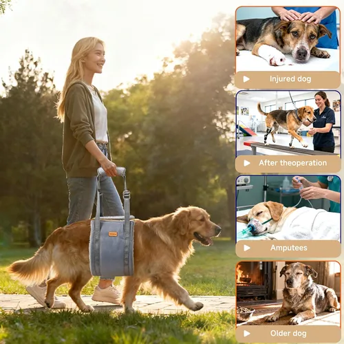 Vista 4 de Arnés de elevación para perros pequeños, arnés ajustable para patas traseras, arnés de soporte de cadera para ayudar a levantar la parte trasera