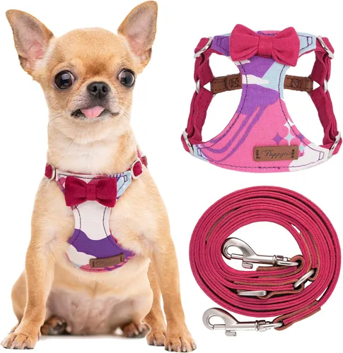 Vista 43 de Arnés sin tirones para perro, con correa multifunción, pechera suave y ajustable para mascota, no ahorca, chaleco a prueba de escape para perros