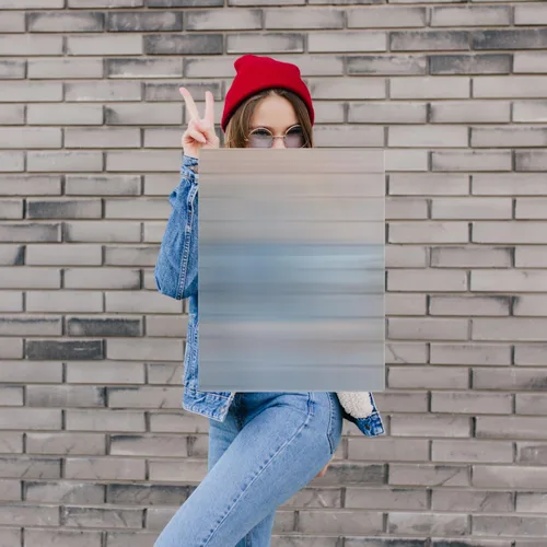 Escudo de invisibilidad – 17 x 13 pulgadas, escudo resistente con hoja lenticular y mango acrílico transparente para bromas, ciencias, magia,