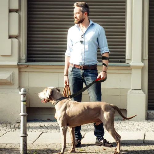 Vista 2 de Correa resistente para perros con 2 asas - Correa reflectante anti-tracción de 6 pies para perros grandes, asa acolchada de tráfico para control