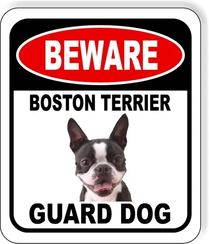 Vista 32 de BEWARE BASSETT HOUND GUARD DOG - Letrero compuesto de aluminio para exteriores, 8.5 x 10 pulgadas