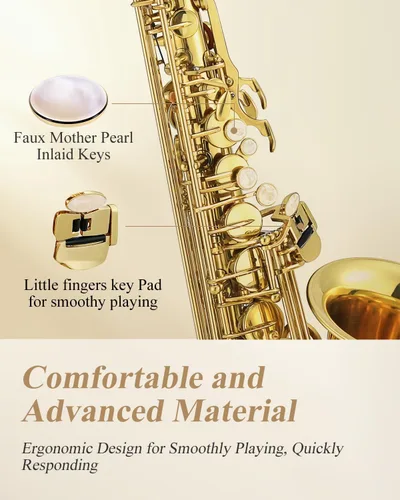 Vista 3 de Saxofón profesional Eastar alto dorado Mi plano Eb con kit de limpieza, estuche de transporte, boquilla, correa para el cuello, lengüetas, soporte