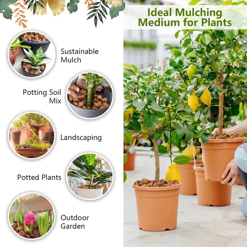 Vista 6 de Legigo Chips de fibra de coco de 1.1 libras para plantas - Ladrillo de chips de coco 100% orgánico, mezcla para macetas con bajo equilibrio EC y PH