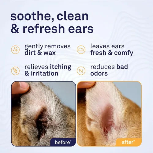 Vista 2 de Petpost Toallitas limpiadoras de orejas grandes para perros - 60 almohadillas de algodón ultra suaves XL en solución de aloe de aceite de coco