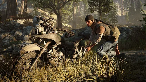 Vista 2 de Days Gone PS4