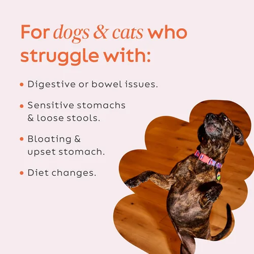 Vista 3 de Diggin’ Your Dog, Suplemento original de calabaza Firm Up para perros y gatos, 1 onza