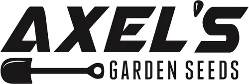 Vista 7 de Semillas de rábano daikon japonés para plantar - 100 semillas autóctonas sin OMG - Instrucciones completas de siembra para plantar y cultivar un