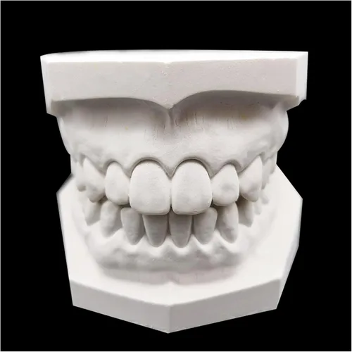 Vista 3 de Modelo dental oral - Modelo de dientes de yeso - Modelo de dientes de yeso súper duro y de alto relleno para enseñanza dental 2 piezas