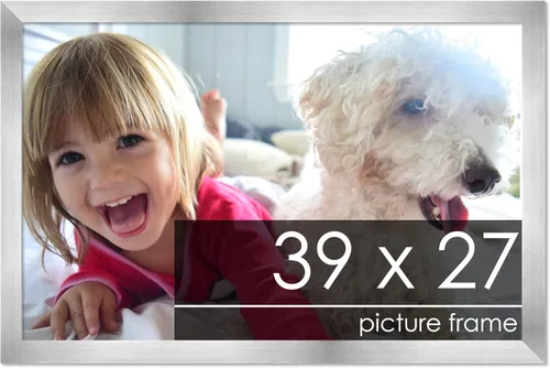 Vista 66 de Marco de madera de peltre plateado de 3 x 4 pulgadas, acrílico UV, respaldo de tablero de espuma y accesorios para colgar, marco de 3 x 4 pulgadas