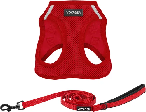 Vista 21 de Best Pet Supplies - Arnés Voyager Step-in Air de malla y correa reflectante para perro de 5 pies, apta para todos los climas, con mango de neopreno