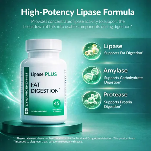 Vista 4 de Lipase Plus Enzimas Digestivas - Apoya la digestión de grasas y la absorción de nutrientes - Mezcla de enzimas para comidas altas en grasas y Keto