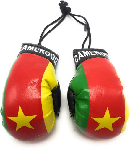 Vista 15 de Mini Guantes de Boxeo Colgantes para Espejo de Coche (Argentina)