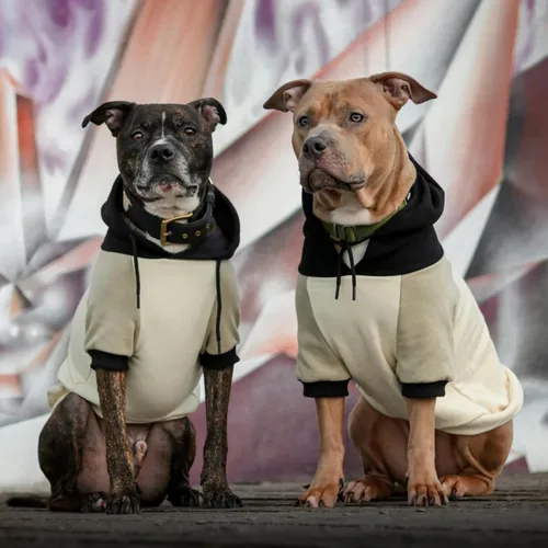 Vista 3 de Spark Paws Sudadera con capucha para perro, suéter de primera calidad para perros pequeños, medianos y grandes Trajes cálidos para bulldogs