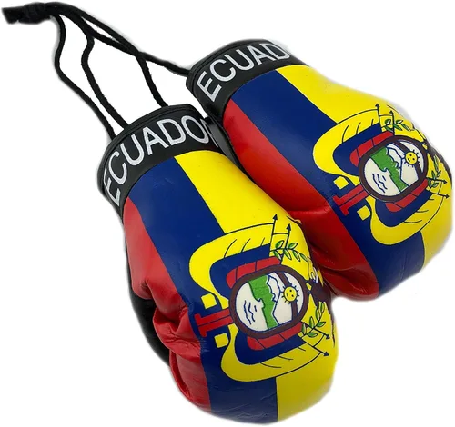 Vista 13 de Mini Guantes de Boxeo Colgantes para Espejo de Coche (Argentina)