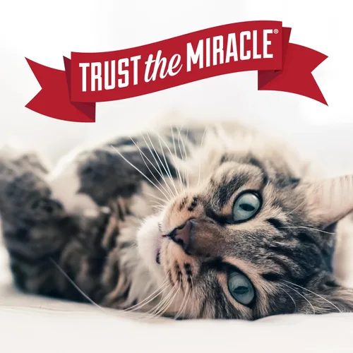 Vista 12 de Nature's Miracle Advanced Platinum - Aerosol repelente de bloques de mascotas para gatos, 8 onzas, ayuda de entrenamiento en interiores para gatos