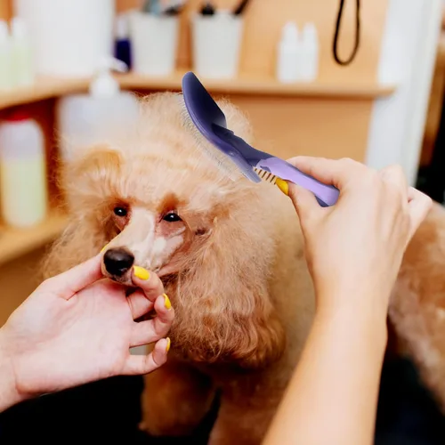 Vista 7 de Cepillo de perro para caniches, cepillo de aseo para desenredar y desenredar, cepillo de perro para caniches, pelo de pastor alemán, pitbulls