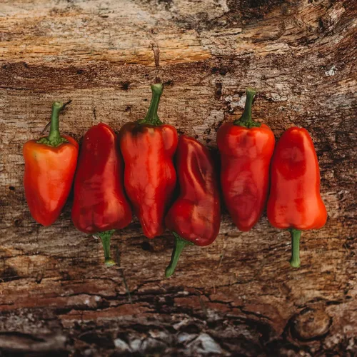 Fresno Chile Pepper - 25 semillas - Variedad de reliquia y polinizada abierta, semillas de vegetales sin OMG para plantar en el jardín doméstico,