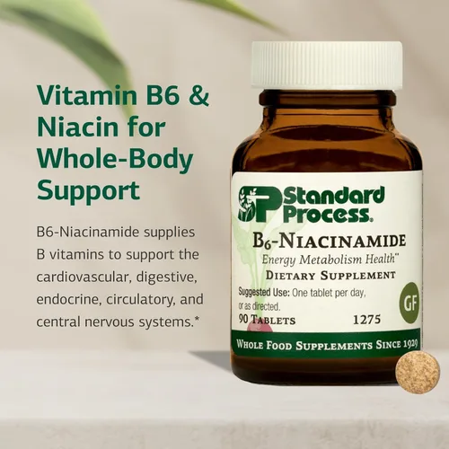 Vista 3 de Proceso estándar B6-niacinamida: metabolismo energético, salud cardíaca y suplemento de digestión con vitamina B6, niacina, ácido ascórbico, hongo