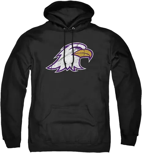 Vista 6 de LOGOVISION Ashland University - Sudadera con capucha unisex para adultos