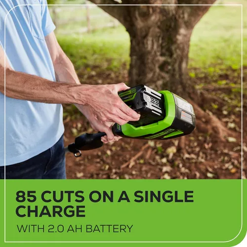 Vista 5 de Greenworks 60V sierra de poste sin cable sin escobillas de 10 pulgadas, alcance de 14.5 pies, batería de 2.0Ah y cargador
