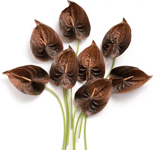 Ling's moment Anthurium Flores artificiales, 8 flores falsas de color marrón