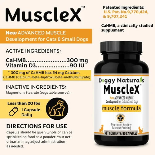 Vista 2 de Fórmula muscular canina para gatos y perros pequeños con 300 mg de CaHMB y vitamina D3 – Fórmula natural de construcción muscular – Ayuda a reducir