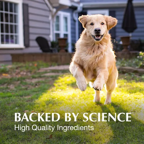 Vista 5 de Nutramax Laboratories Crananidin Extracto de Arándano Suplemento para la Salud del Tracto Urinario para Perros, 75 Tabletas masticables