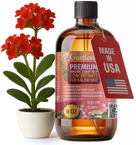 Vista 23 de GARDENERA Superalimento orgánico prémium de algas marinas y algas marinas para plantas AGLAONEMA, 8 onzas, concentrado de fertilizante líquido
