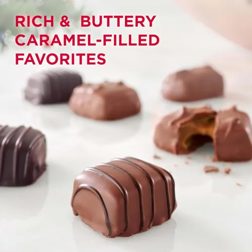 Vista 5 de RUSSELL STOVER Caramelos surtidos navideños en caja de regalo de dulces de chocolate negro y leche, 9 onzas