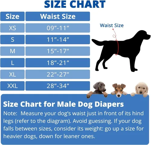 Vista 4 de Paw Legend Pañales lavables para perros machos, pañales reutilizables para cachorros y perros machos (paquete de 3, M)