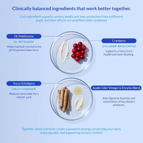 Vista 6 de Masticables suaves para quemaduras de hierba, protector de manchas de hierba para orina de perro, neutralizador de orina de perro para césped