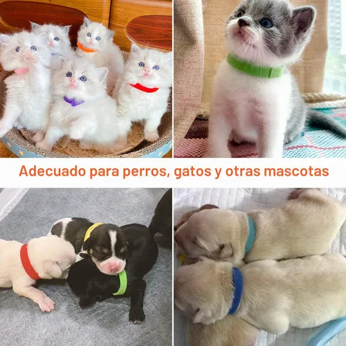 Vista 6 de 30 collares de parto para cachorros, collares para mascotas recién nacidas, bandas de identificación ajustables suaves de doble cara, collares